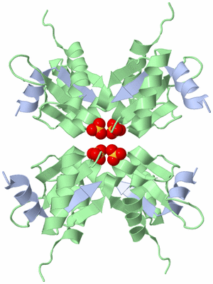 Image Biological Unit 3