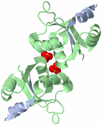 Image Biological Unit 4