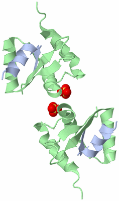 Image Biological Unit 5