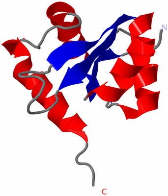 Image Asymmetric Unit