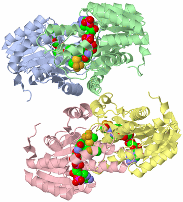 Image Asym./Biol. Unit