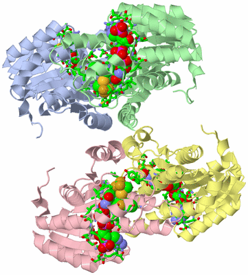 Image Asym./Biol. Unit - sites