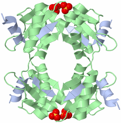 Image Biological Unit 2