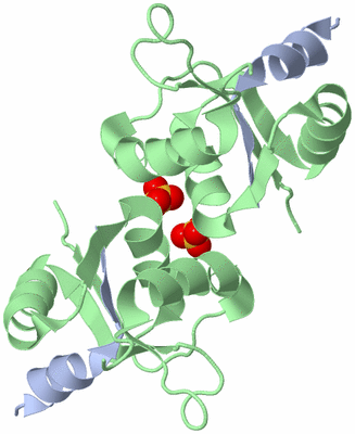 Image Biological Unit 3