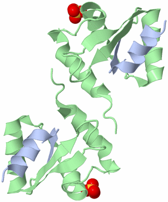 Image Biological Unit 4