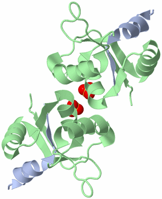 Image Biological Unit 3