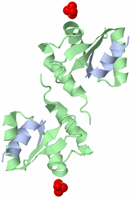 Image Biological Unit 4