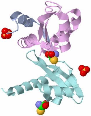 Image Biological Unit 1