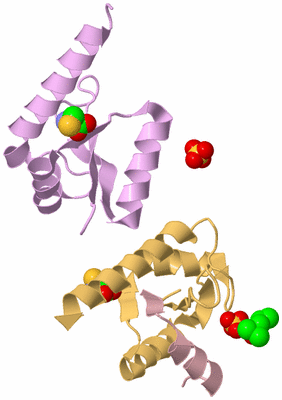 Image Biological Unit 3