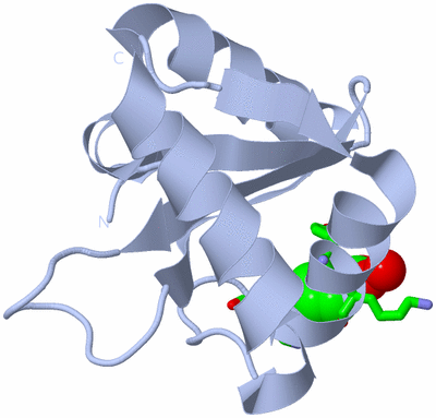 Image Biol. Unit 1 - sites