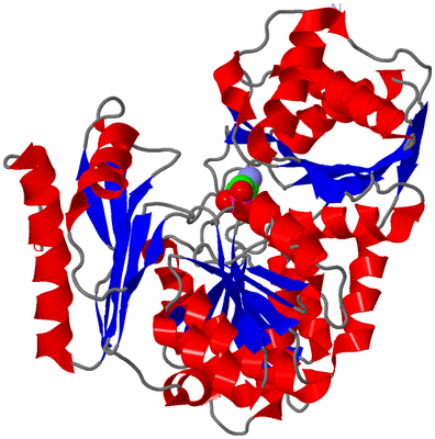 Image Asym./Biol. Unit