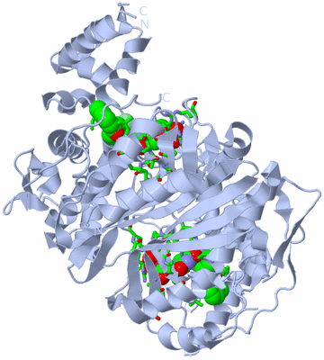 Image Biol. Unit 1 - sites