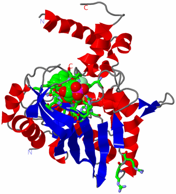 Image Asym. Unit - sites