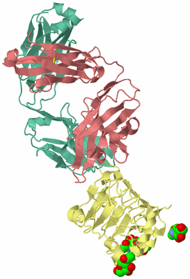 Image Biological Unit 1