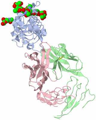 Image Biological Unit 2