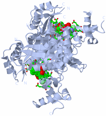 Image Biol. Unit 1 - sites