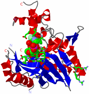 Image Asym. Unit - sites