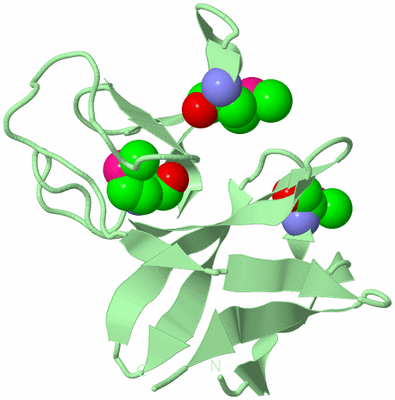 Image Biological Unit 2