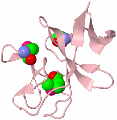 Image Biological Unit 3