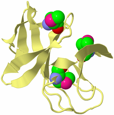 Image Biological Unit 4