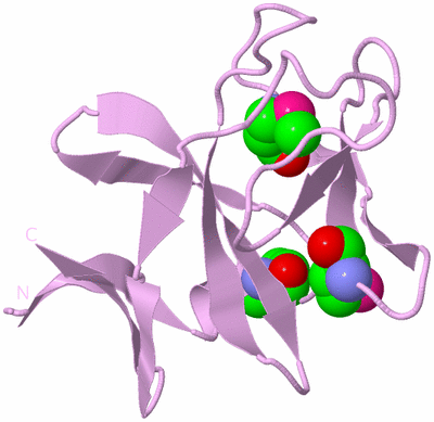 Image Biological Unit 5