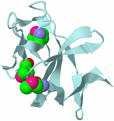 Image Biological Unit 6