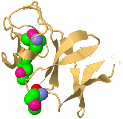 Image Biological Unit 7