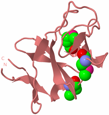 Image Biological Unit 8