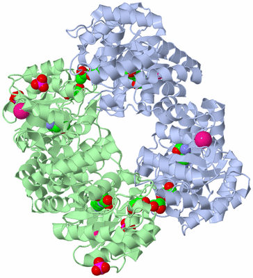 Image Biological Unit 1