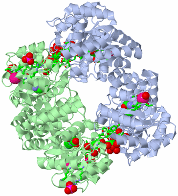 Image Biol. Unit 1 - sites