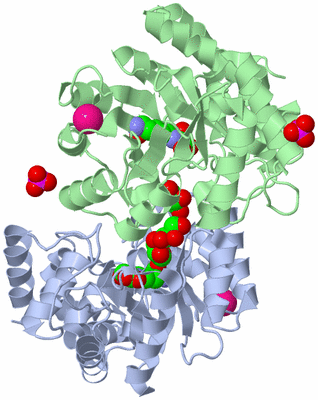 Image Biological Unit 2