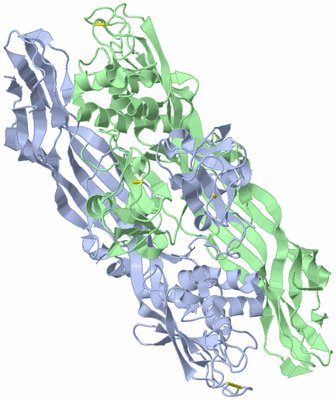Image Asymmetric Unit