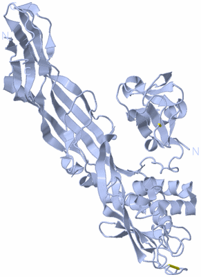 Image Biological Unit 1