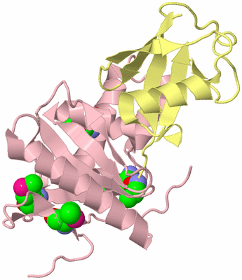 Image Biological Unit 1