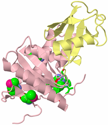 Image Biol. Unit 1 - sites