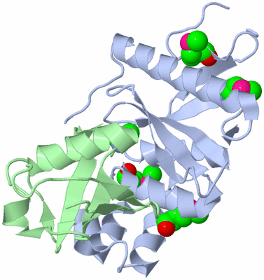 Image Biological Unit 2