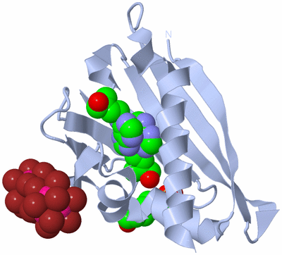 Image Biological Unit 1