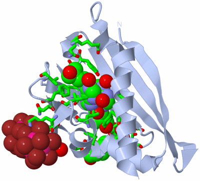 Image Biol. Unit 1 - sites