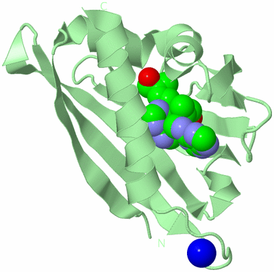 Image Biological Unit 2