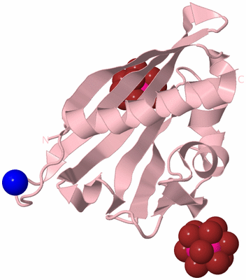 Image Biological Unit 3