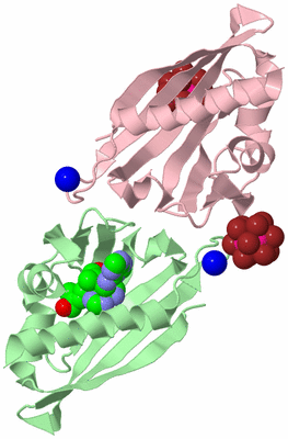 Image Biological Unit 5