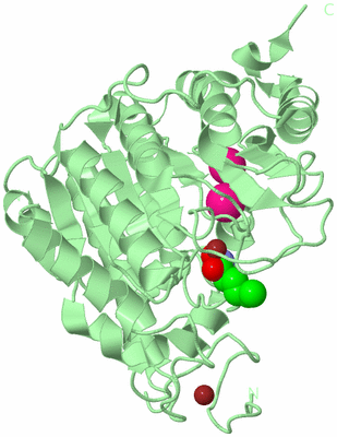 Image Biological Unit 2