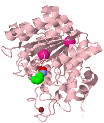 Image Biological Unit 3