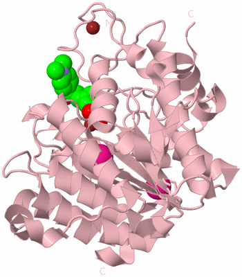 Image Biological Unit 3