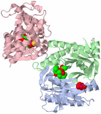 Image Asym./Biol. Unit