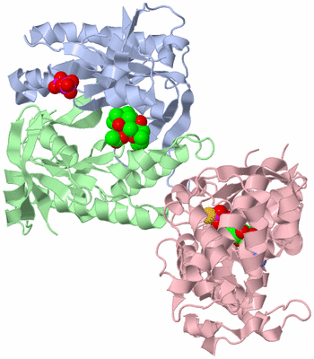 Image Asym./Biol. Unit