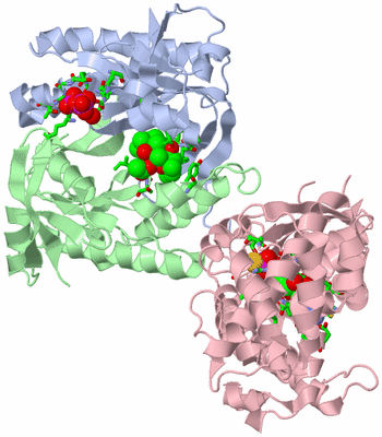 Image Asym./Biol. Unit - sites