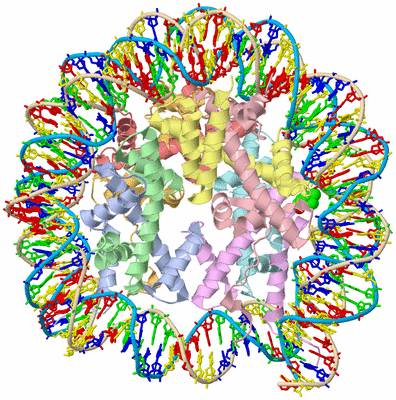 Image Asym./Biol. Unit