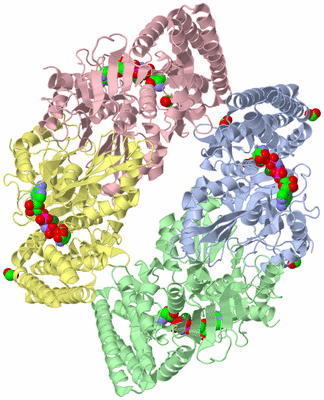 Image Biological Unit 1