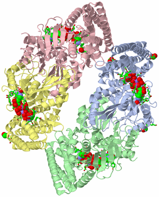 Image Biol. Unit 1 - sites